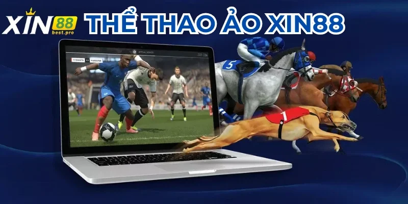 Cá cược Sport VR trên nhà cái XIN88 thu hút người chơi