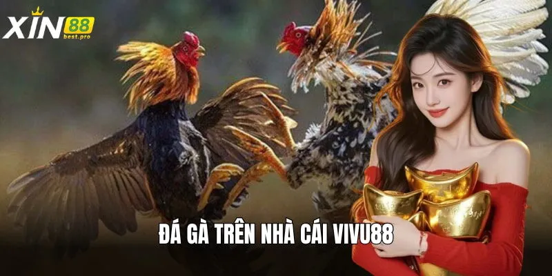 Sảnh game đá gà trực tuyến được đón nhận nhiều từ hội viên