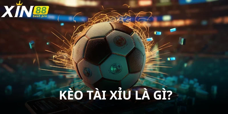 Kèo tài xỉu phổ biến và phù hợp với người mới
