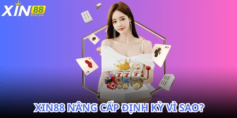 Nhà cái thường xuyên nâng cấp định kỳ trên website
