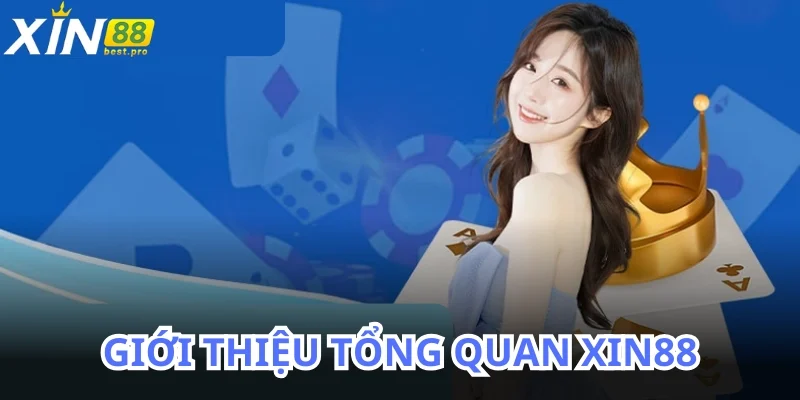 Tổng quan XIN88 cho những hội viên mới đăng ký